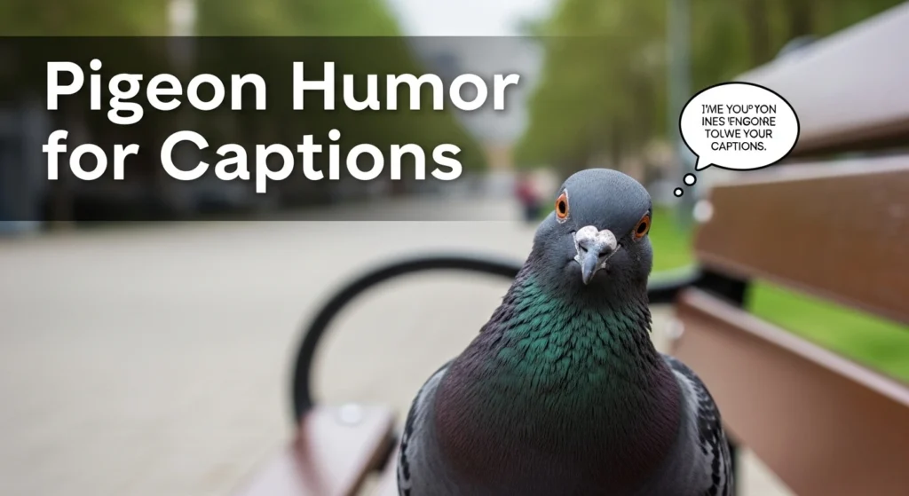 Pigeon humor for captions