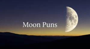 Moon Puns