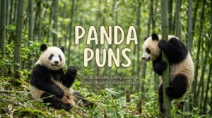 Panda Puns